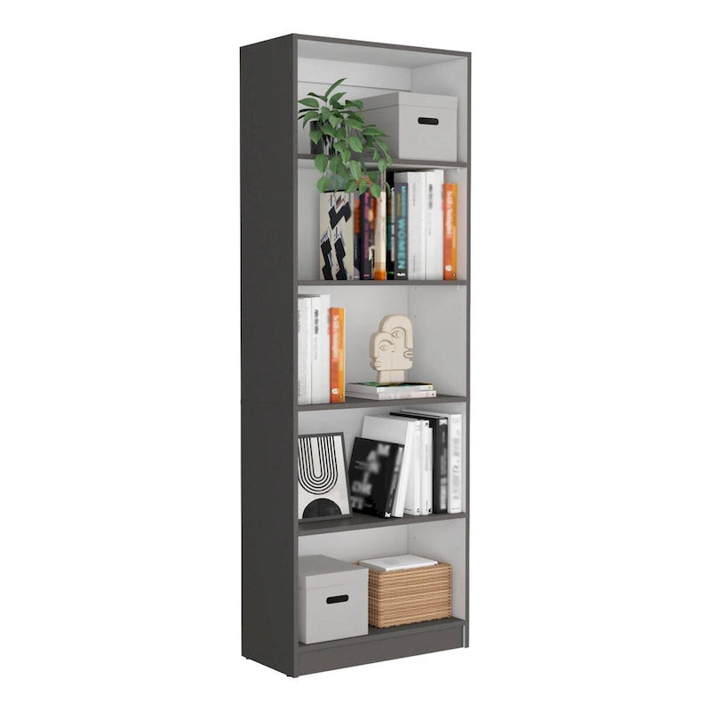 Bibliothèque de 2 meubles à 5 étagères et placard
